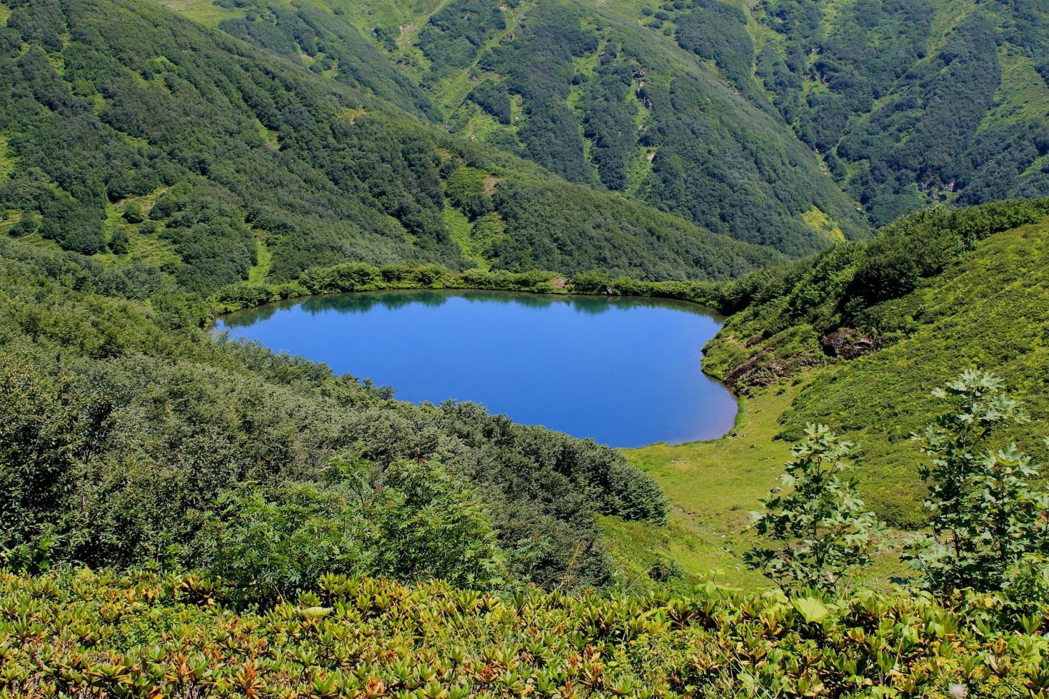 The 12 best dayhikes in Georgia geotv.ge